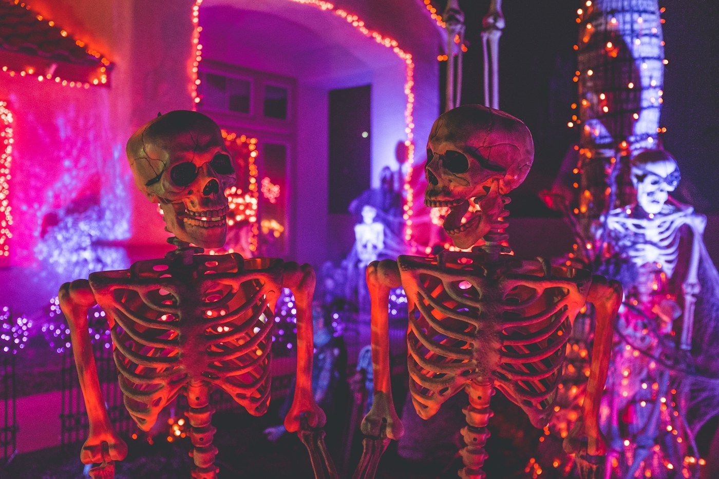 Citrouilles et lumières d’automne